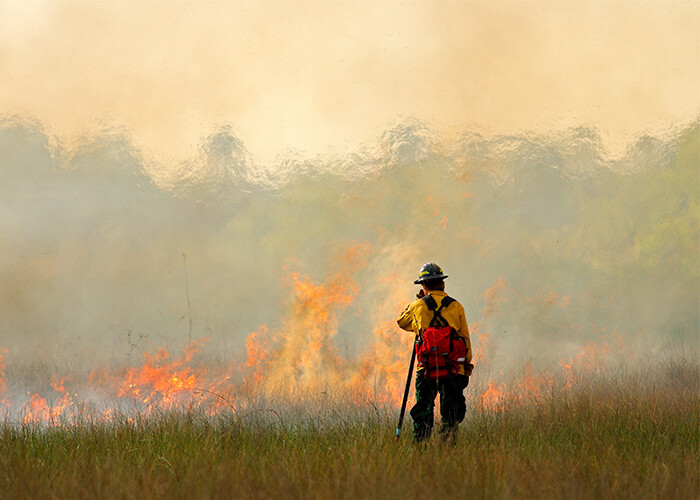 wildland firefighter battling ground fire