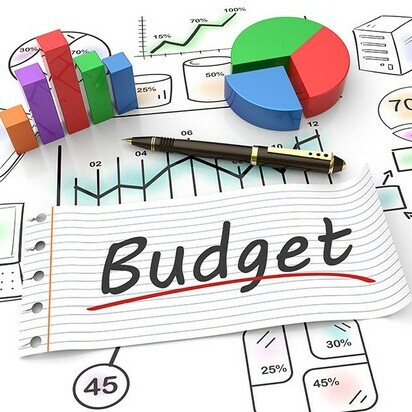 Budget Info 