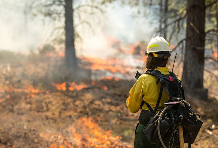 Wildfire crew members overlooking fire