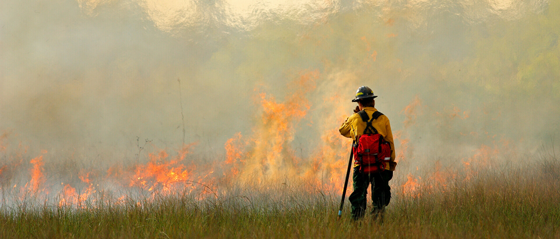 wildland firefighter battling ground fire